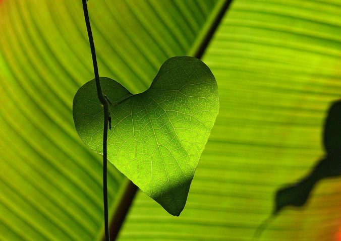 navigating identity shifts in midlife