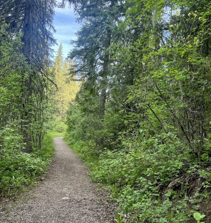 Nature Therapy