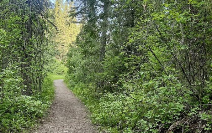 Nature Therapy