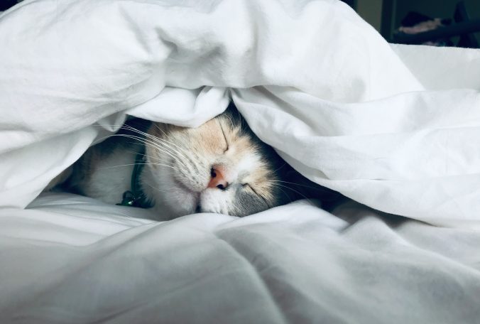 cure insomnia with CBT